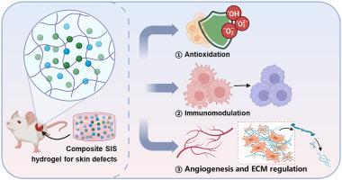 Acceleration of wound healing by composite small intestinal submucosa hydrogels through immunomodulation