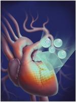 3D bioprinted alginate-gelatin hydrogel patches containing cardiac spheroids recover heart function in a mouse model of myocardial infarction