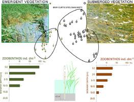 Above- and belowground habitat complexity created by emergent and submerged vegetation drives the structure of benthic assemblages