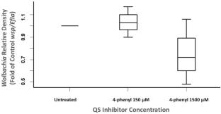 Effect of quorum sensing inducers and inhibitors on male-killing Wolbachia, the endosymbiont of the adzuki bean borer, Ostrinia scapulalis (Lepidoptera: Crambidae)