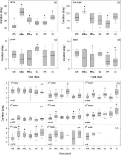 Alternative hosts can affect the development, reproduction, and demographic parameters of Chrysodeixis includens