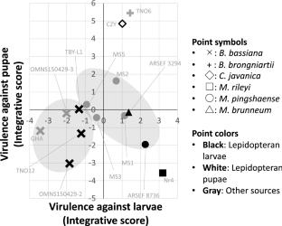 Varied selectivity of caterpillar-specific Metarhizium rileyi and generalist entomopathogenic fungi against last instar larvae and pupae of common cutworm, Spodoptera litura (Lepidoptera: Noctuidae)