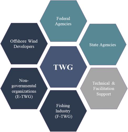 Effective Stakeholder Engagement for Offshore Wind Energy Development: The State of New York's Fisheries and Environmental Technical Working Groups