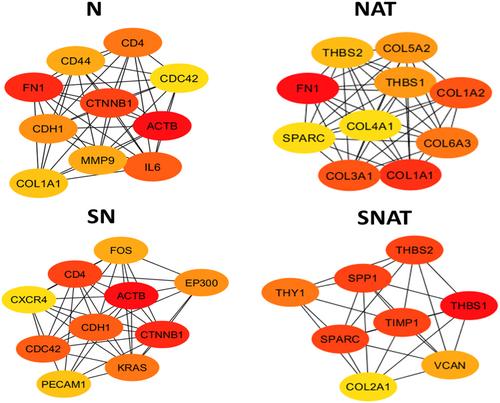 Hub genes and pathways in gastric cancer: A comparison between studies that used normal tissues adjacent to the tumour and studies that used healthy tissues as calibrator