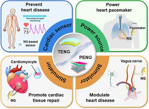 Triboelectric nanogenerators and piezoelectric nanogenerators for preventing and treating heart diseases