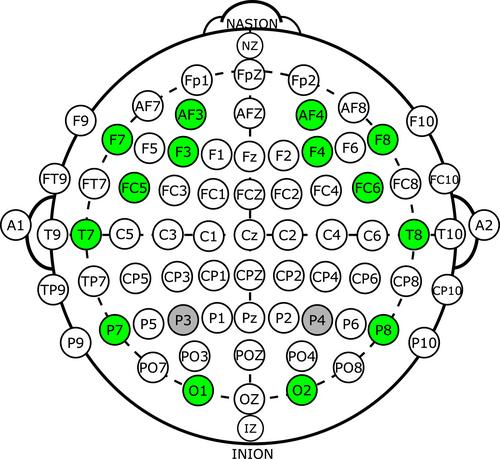 Brainprint based on functional connectivity and asymmetry indices of brain regions: A case study of biometric person identification with non-expensive electroencephalogram headsets