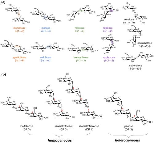 Gluco-oligosaccharides as potential prebiotics: Synthesis, purification, structural characterization, and evaluation of prebiotic effect