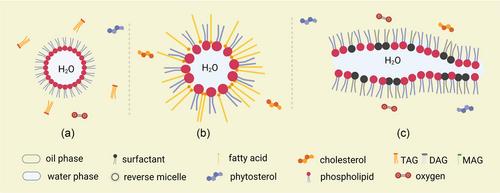 Mechanisms of lipid oxidation in water-in-oil emulsions and oxidomics-guided discovery of targeted protective approaches