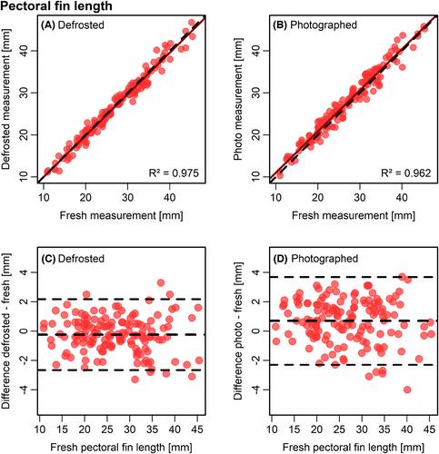 Minimally Invasive Collection of Biometric Data Including Maturation Stage on European Eel Using Photography