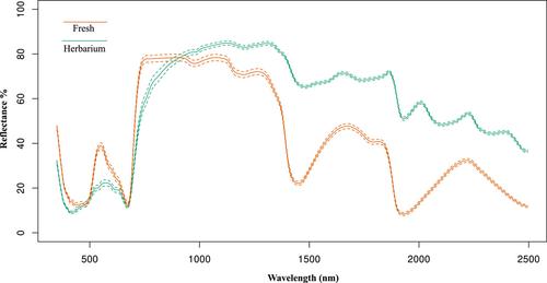 Infrared spectroscopy for ploidy estimation: An example in two species of Veronica using fresh and herbarium specimens