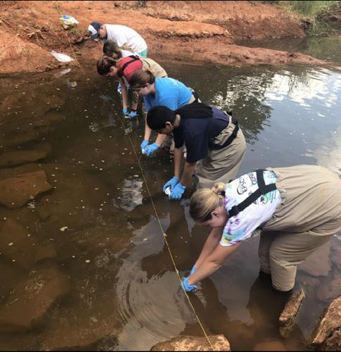 Spatiotemporal Variability Comparisons of Water Quality and Escherichia coli in an Oklahoma Stream