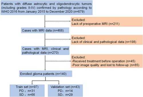 A multiparameter radiomic model for accurate prognostic prediction of glioma