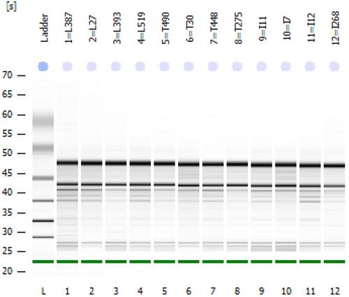 An optimized RNA extraction method for diverse leaves of Hawaiian Metrosideros, a hypervariable tree species complex