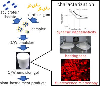 Characteristics of O/W emulsion gels stabilized by soy protein-xanthan gum complex for plant-based processed meat products