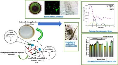 Smart hydrogels based on semi-interpenetrating polymeric networks of collagen-polyurethane-alginate for soft/hard tissue healing, drug delivery devices, and anticancer therapies