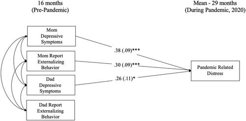 Infant externalizing behavior and parent depressive symptoms: Prospective predictors of parental pandemic related distress