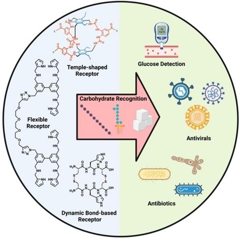 Molecular Engineering of Carbohydrate Recognition