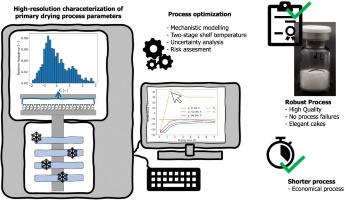 A model-based optimization strategy to achieve fast and robust freeze-drying cycles