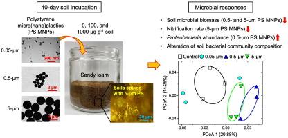 Effects of different sizes of polystyrene micro(nano)plastics on soil microbial communities