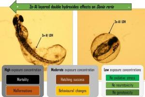 Zn-Al layered double hydroxides induce embryo malformations and impair locomotion behavior in Danio rerio