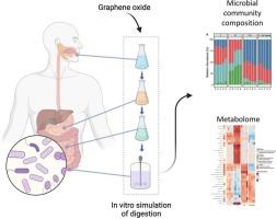 Graphene oxide exposure alters gut microbial community composition and metabolism in an in vitro human model