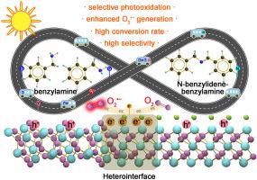 Interface boosted highly efficient selective photooxidation in Bi3O4Br/Bi2O3 heterojunctions