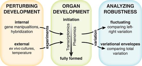 Toward a universal measure of robustness across model organs and systems