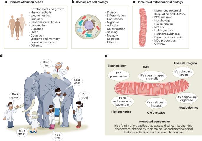 Multifaceted mitochondria: moving mitochondrial science beyond function and dysfunction
