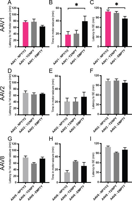 Combinatorial gene therapy for epilepsy: Gene sequence positioning and AAV serotype influence expression and inhibitory effect on seizures