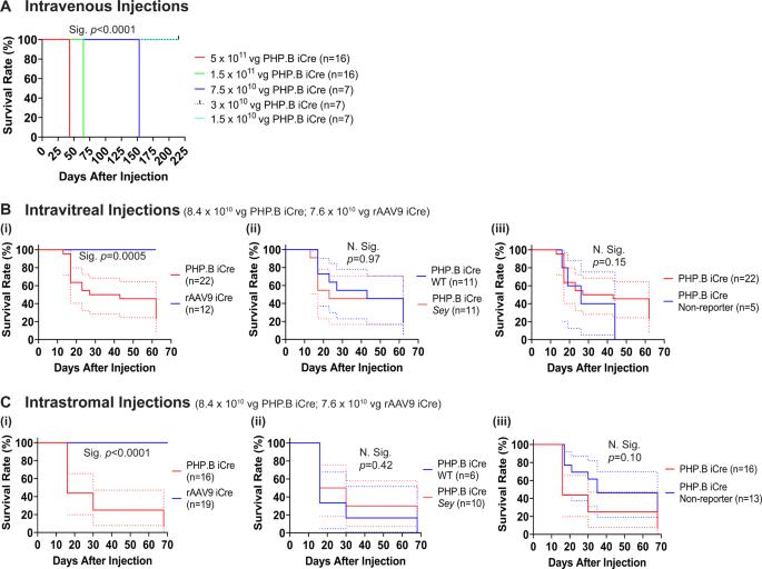 rAAV-PHP.B escapes the mouse eye and causes lethality whereas rAAV9 can transduce aniridic corneal limbal stem cells without lethality