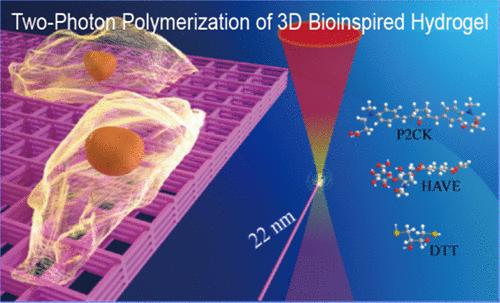 22 nm Resolution Achieved by Femtosecond Laser Two-Photon Polymerization of a Hyaluronic Acid Vinyl Ester Hydrogel