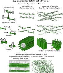 Exploration of molecular machines in supramolecular soft robotic systems