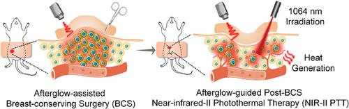 Afterglow/Photothermal Bifunctional Polymeric Nanoparticles for Precise Postbreast-Conserving Surgery Adjuvant Therapy and Early Recurrence Theranostic