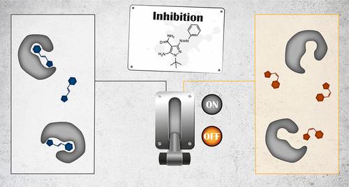 Photoswitchable Inhibitors to Optically Control Specific Kinase Activity
