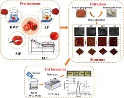 Fine physicochemical, structural, rheological and gelling properties of tomato pectin under infrared peeling technique