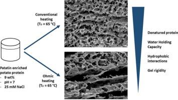 Ohmic vs. conventional heating: Influence of moderate electric fields on properties of potato protein isolate gels