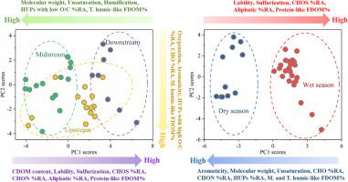 Spatiotemporal response of dissolved organic matter diversity to natural and anthropogenic forces along the whole mainstream of the Yangtze River