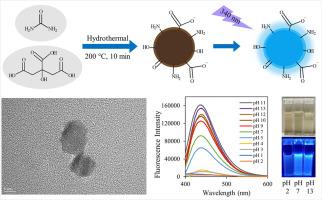 Improving the quantum yield of nitrogen-doped carbon dots by varying dopant ratios and pH