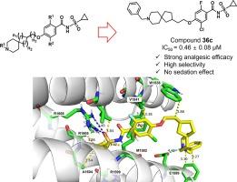 Design, synthesis, and biological evaluation of acyl sulfonamide derivatives with spiro cycles as NaV1.7 inhibitors for antinociception