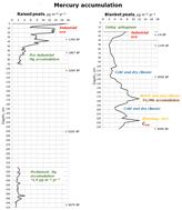 Prehistoric and technogenic loads of Hg in raised and blanket peats from the lower Amur River basin, eastern Asia†