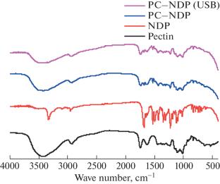 Complexes of Citrus Pectin with Nifedipine: Preparation and Physicochemical Properties