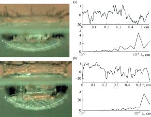 Mass Transfer from a Drop in Fall into the Fluid Thickness in the Initial Stage of the Coalescence Process