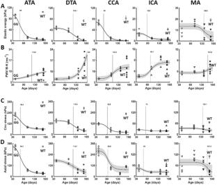 Biomechanical and transcriptional evidence that smooth muscle cell death drives an osteochondrogenic phenotype and severe proximal vascular disease in progeria