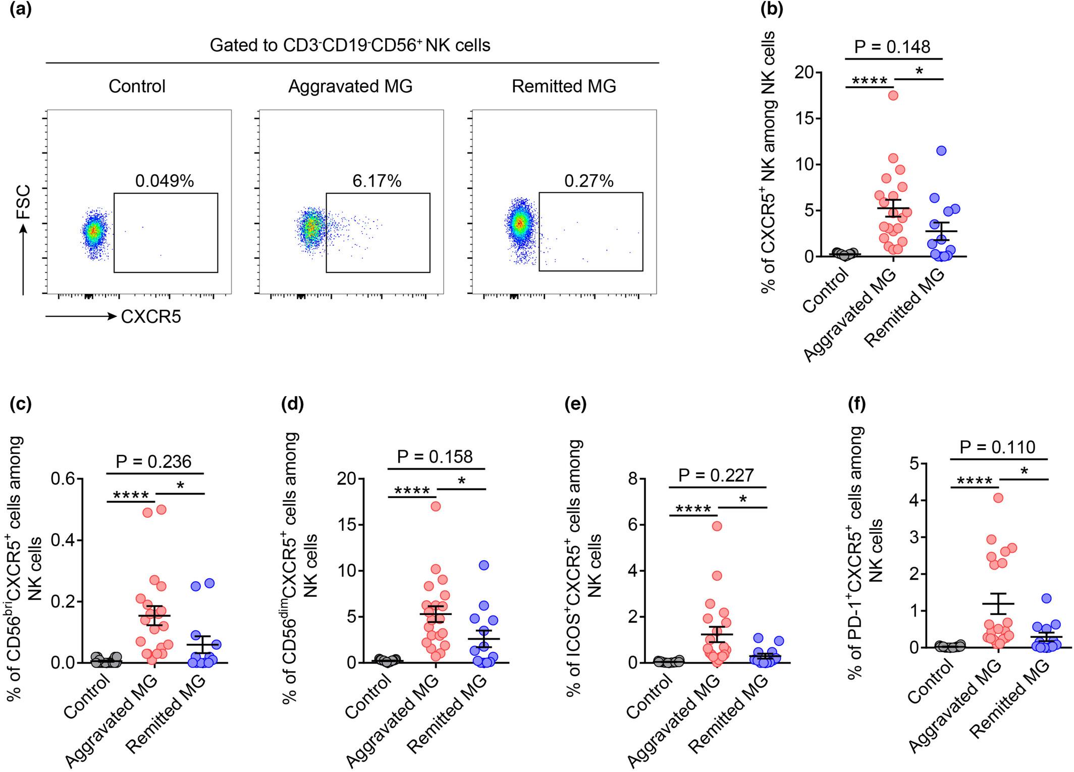 Circulating CXCR5+ natural killer cells are expanded in patients with myasthenia gravis