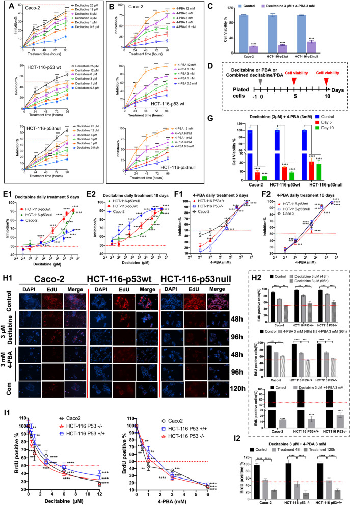 Combined inhibition of histone deacetylase and cytidine deaminase improves epigenetic potency of decitabine in colorectal adenocarcinomas.