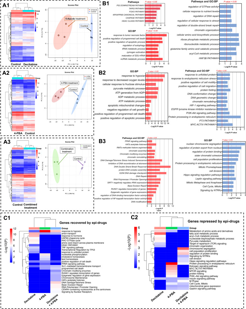 Combined inhibition of histone deacetylase and cytidine deaminase improves epigenetic potency of decitabine in colorectal adenocarcinomas.