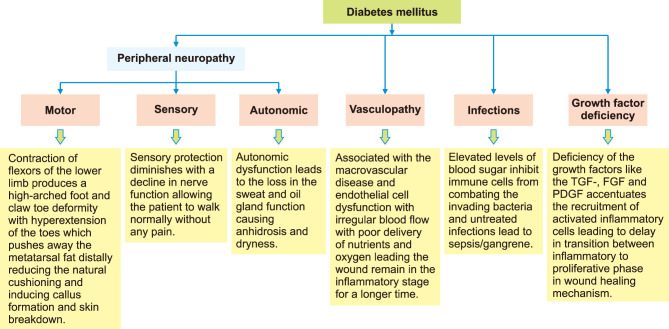 Diabetic Pedal Osteomyelitis and Its Treatment.