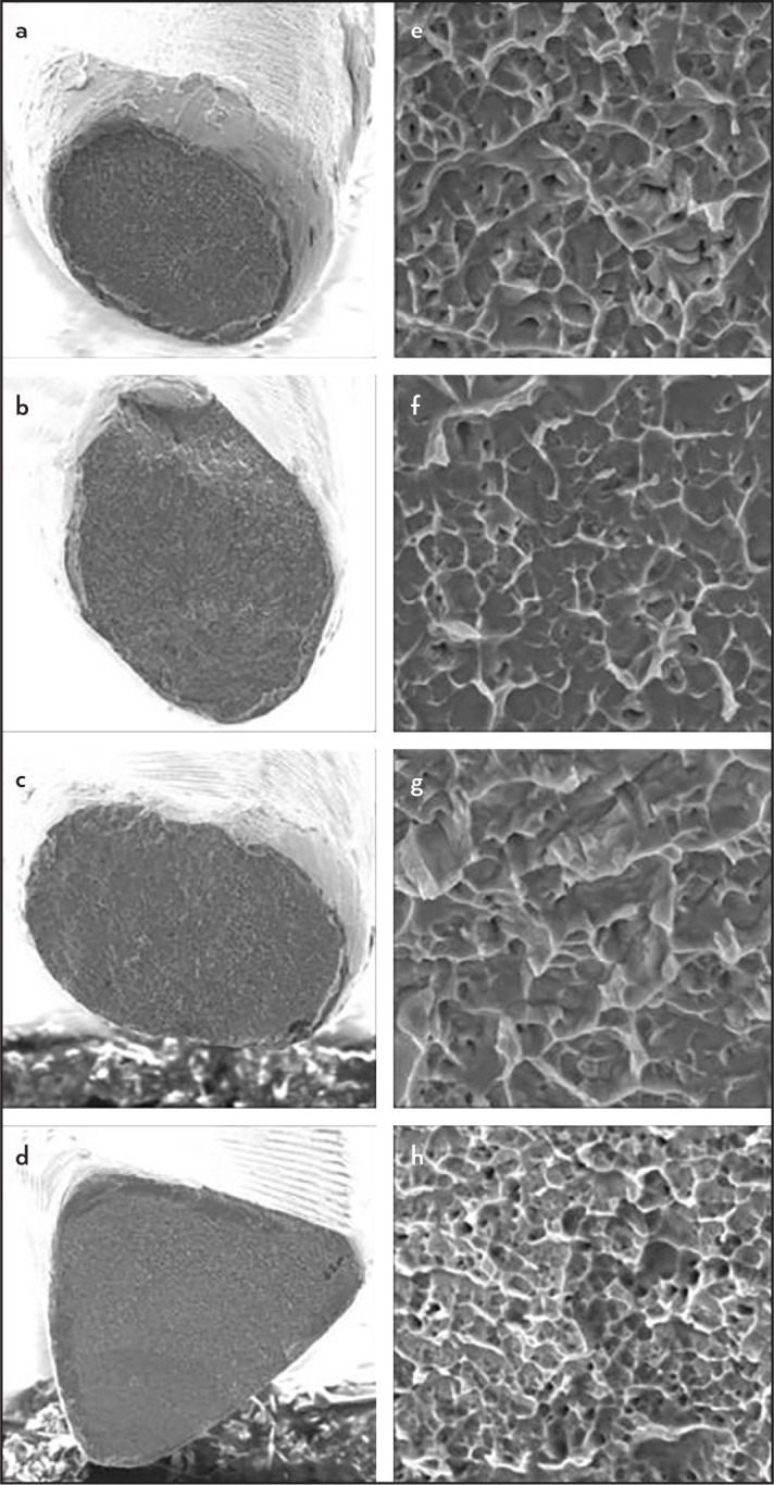 Dynamic Cyclic Fatigue Resistance of Heat-treated Nickel Titanium Instruments in Reciprocating Motion.