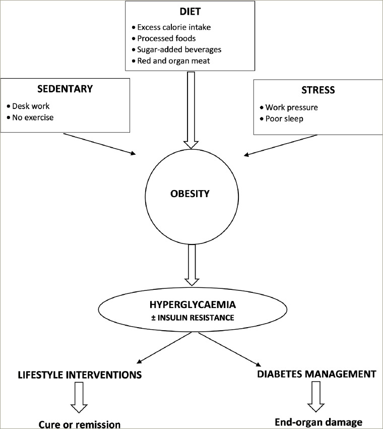 Early Recognition of Overweight Hyperglycaemia May Improve Clinical Outcomes in Type 2 Diabetes.