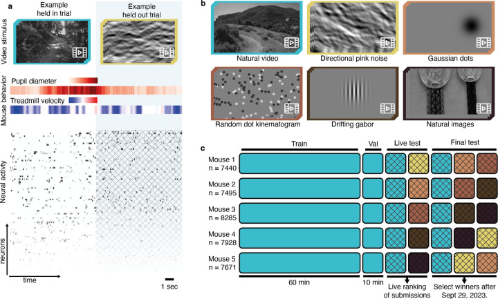 The Dynamic Sensorium competition for predicting large-scale mouse visual cortex activity from videos.